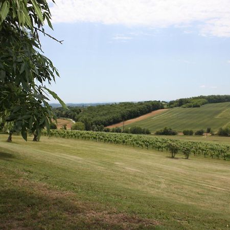 Bed and Breakfast Domaine de Perches Gaillac Exterior foto
