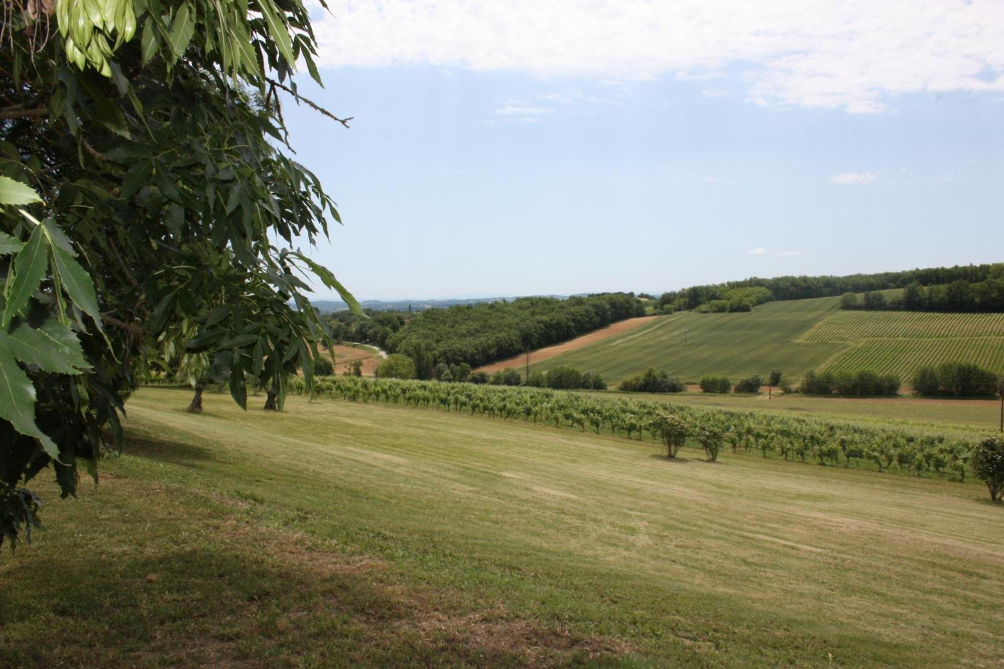 Bed and Breakfast Domaine de Perches Gaillac Exterior foto